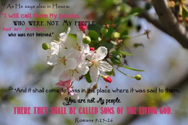 Rom 9-25-26