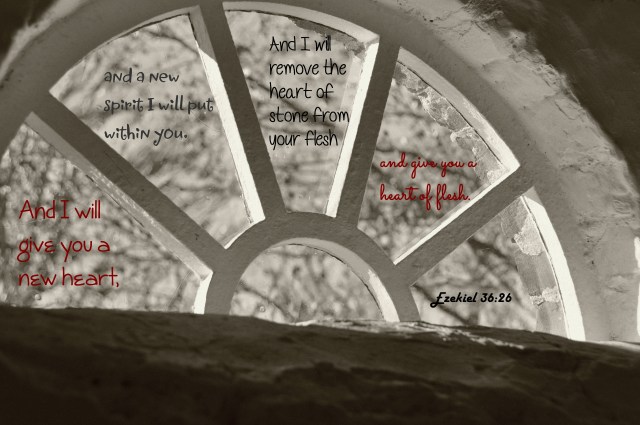 Ezek 36-26-Antique