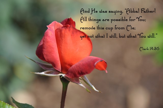 Mark 14-36